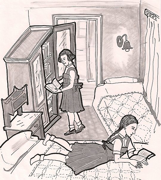 roz-kohen-kitaplik-biblioteka