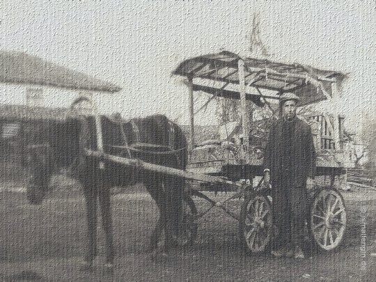 Sarayyeri Köyü'nde Çerçi, Sarayyeri Köyü, Düzce (1967) / İsmail Engin koleksiyonu [KanalKultur]