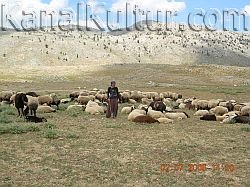 sabri-cakir-anadoluda-tukenen-bir-kultur-yorukluk