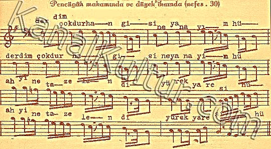 pir-sultan-abdal-derdim-coktur-kangisina-yanayim