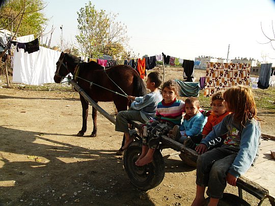 Cono Ahmet'in Çocukları / Children or Cono Ahmet - Türkiye / Turkey / 2011 / HD / Renkli / Colour / 64'; Yönetmen / Director: Ömer Can