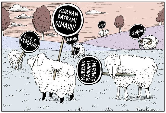 © Firuz Kutal