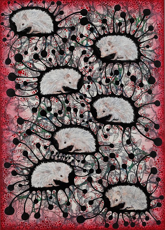 Elvan Alpay - 'Kirpi' / 20 ocak - 25 şubat 2012; İstanbul Galeri Nev