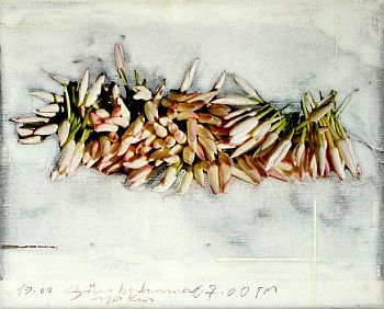 alashia-bitmeye-resim