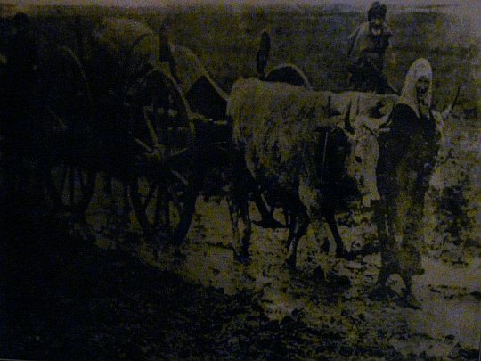 Ricat - Türk Kadınları, 'Balkan Savaşı' (1912) - Fotoğraflar: Şükrü Paşa Anıtı ve Balkan Savaşı Müzesi, Edirne (2011)