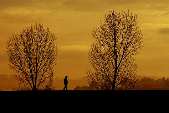 Foto: © Nehir Ağırseven
