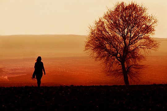 Foto: © Nehir Ağırseven