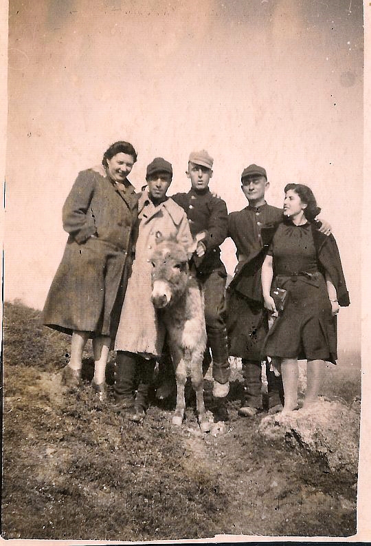 pendik-1942