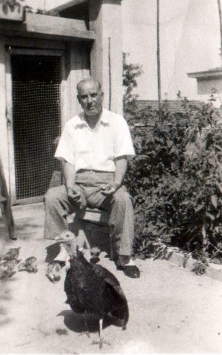 Rafael-Benshoam