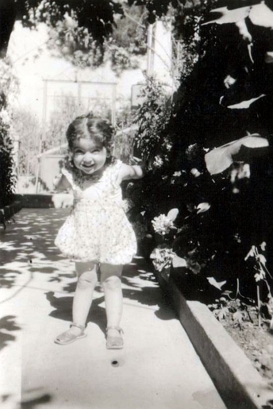 dora-buyukada