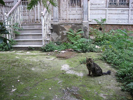 © Roz Kohen - Evin girişi (2007)