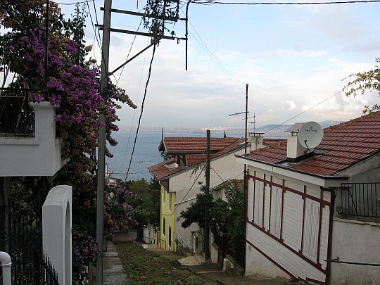 © Roz Kohen - Evin önünden görünen manzara, Büyükada, kasım 2007