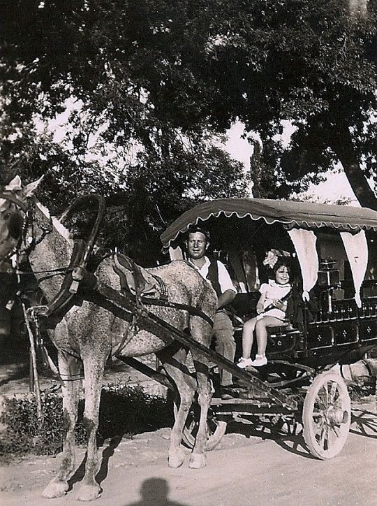 © Roz Kohen - Bostancı içinde yorulunca Saim efendi faytonuyla imdadımıza yetişir; bizi Vapur İskelesi'nden eve veya Kozyatağı'na götürürdü (26 ağustos 1951)